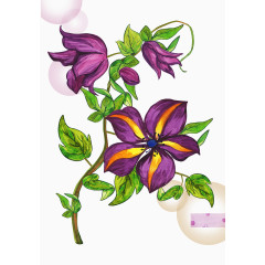 韩式小清新手绘花卉