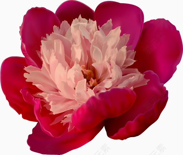 花卉