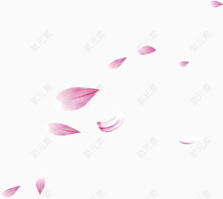 漂亮的莲花瓣
