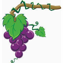 葡萄架上的葡萄