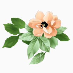 水彩绽放的勺药