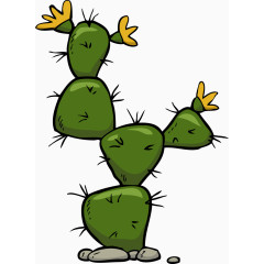 花艺盆栽仙人掌