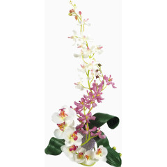 精美兰花免抠