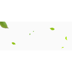 漂浮的绿叶装饰