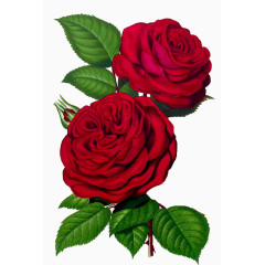 时尚精美装饰板