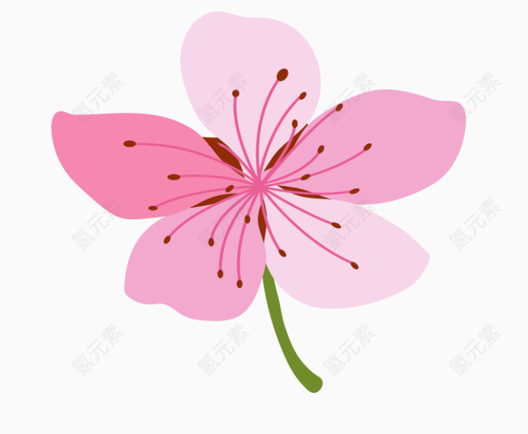 清新花朵花卉元素