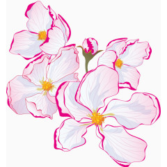 手绘漂亮的玫红边花朵