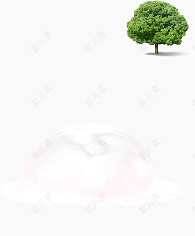 地球上的大树