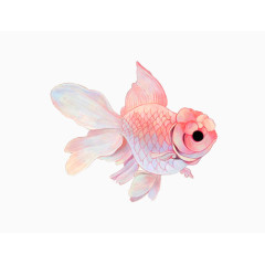 手绘水墨粉色可爱小金鱼