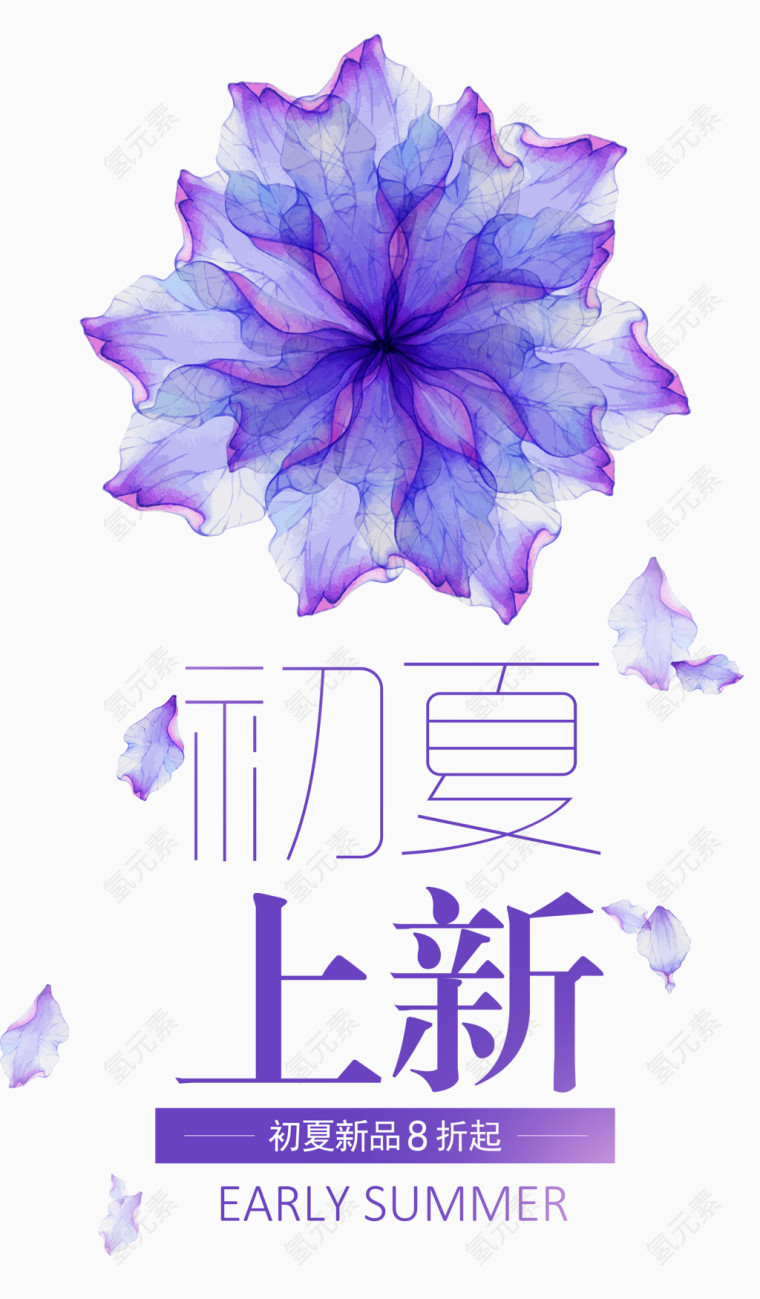 初夏上新