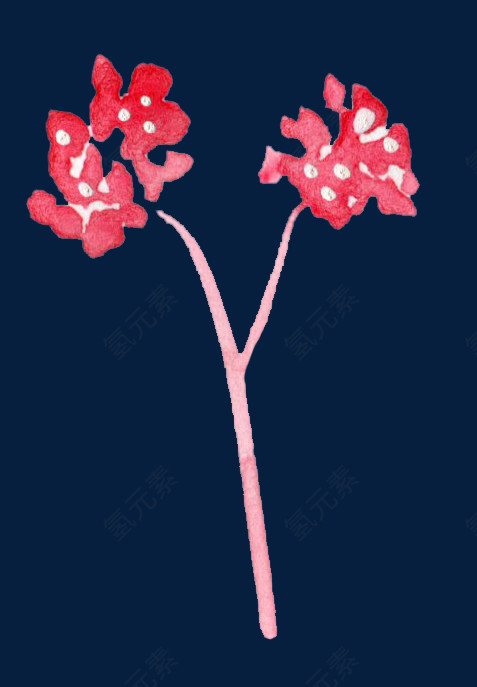 植物水彩画