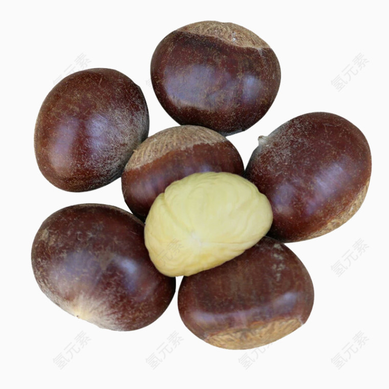栗子素材