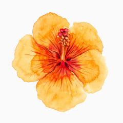 卡通手绘五彩花卉