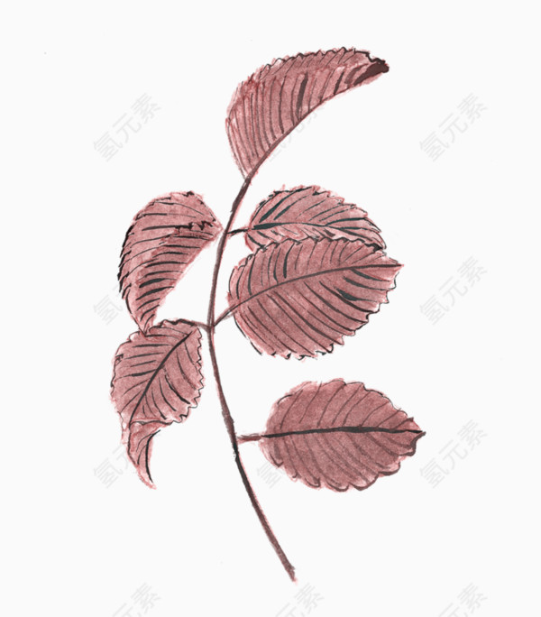 手绘墨画墨红色树叶