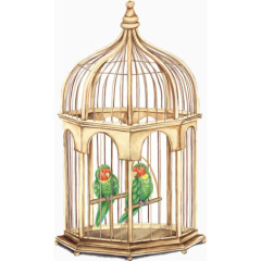 金色鸟笼里的小鸟