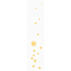 白色的鲜花