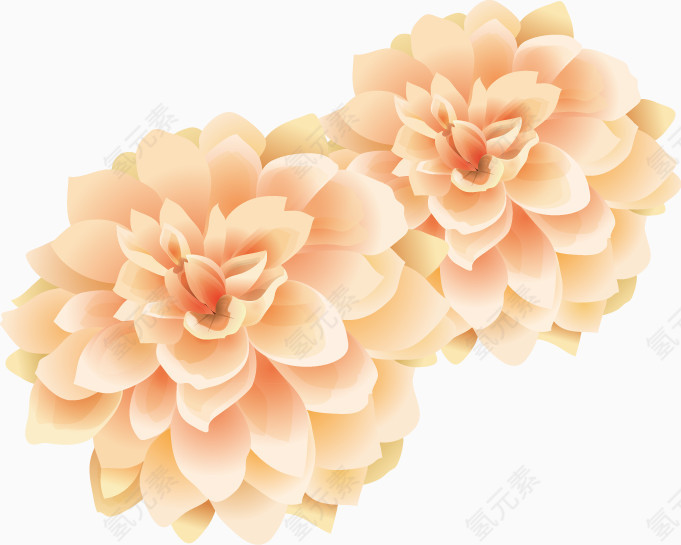 婚礼 角花