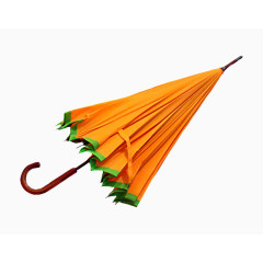 矢量花草素材花草矢量素材