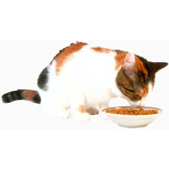 手绘古风素材节日装饰