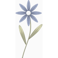 清新八角花瓣花朵