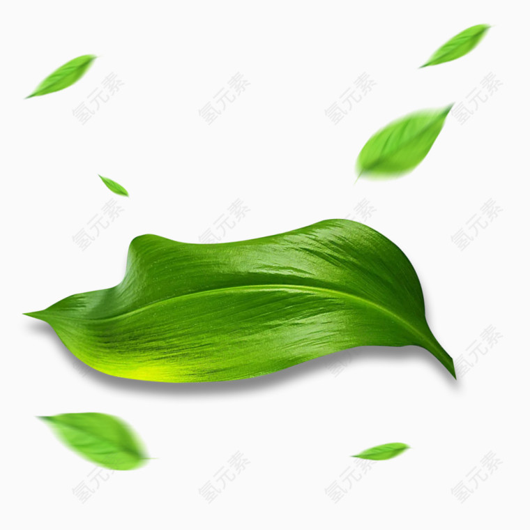 绿茶叶飘落