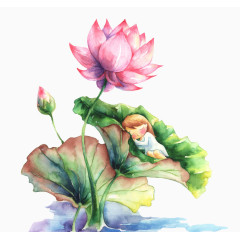 荷花上睡觉的女孩