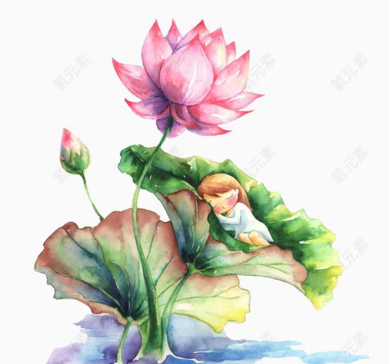 荷花上睡觉的女孩