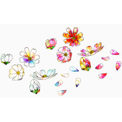 花朵花瓣