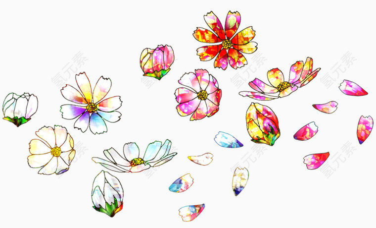 花朵花瓣