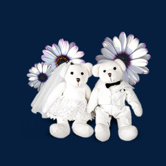 晚会婚宴装饰素材