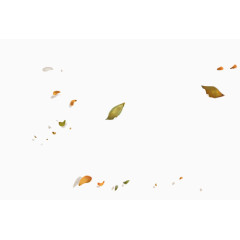 简约清新落叶漂浮