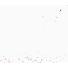 花瓣形状红色花瓣