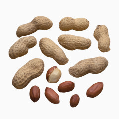 花生和花生仁实物