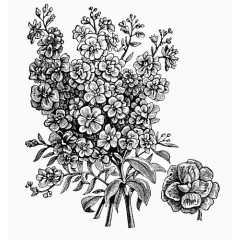 黑白经典时尚插画