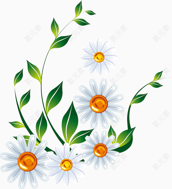 花卉