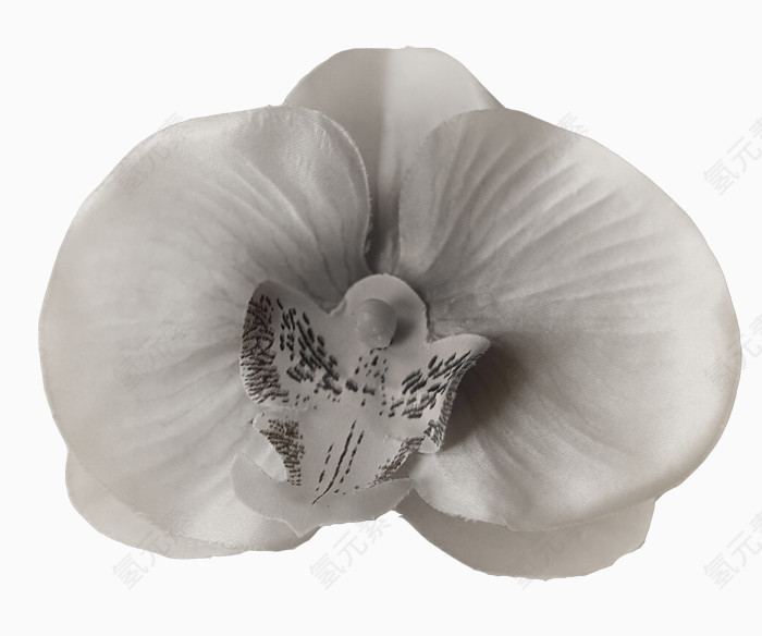 唯美背景图片卡通鲜花图片