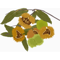 坚果图片炒货图片