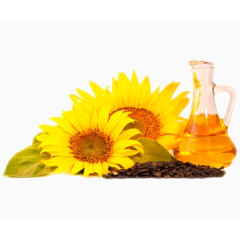 食用油葵花籽油 