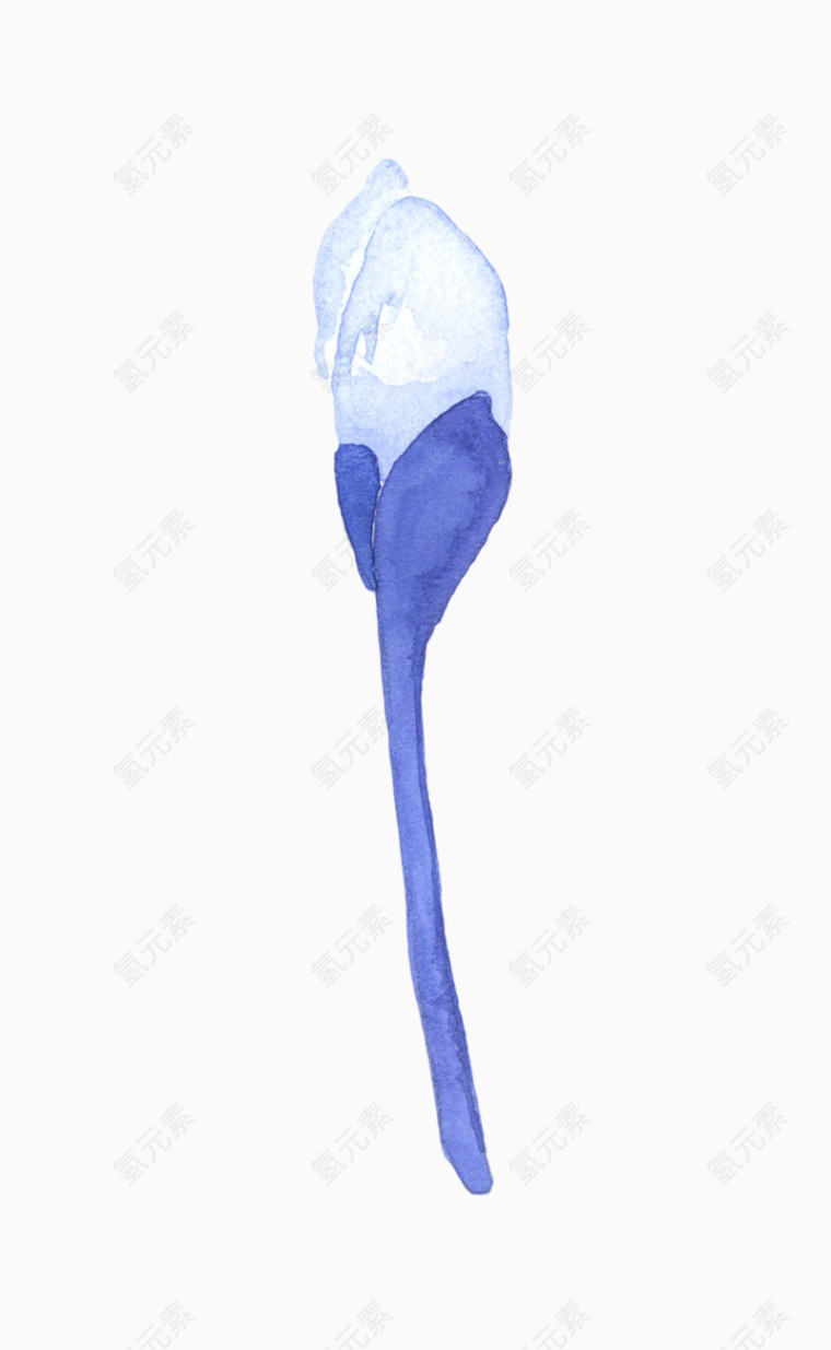 手绘水彩花苞