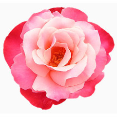 饰品素材古风剪影