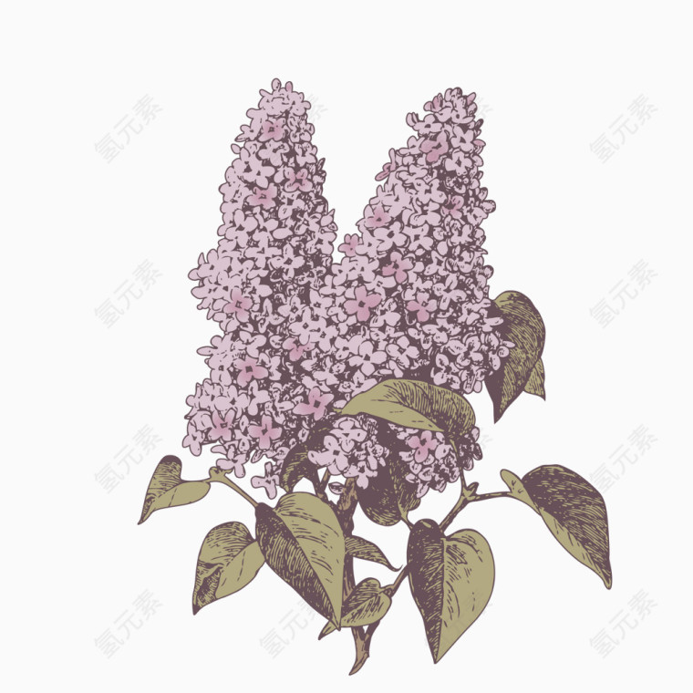 复古欧式花园植物