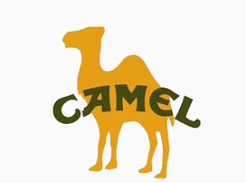 Camel