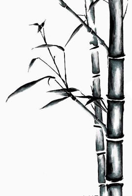 竹子矢量图竹叶图片素材 手绘竹子