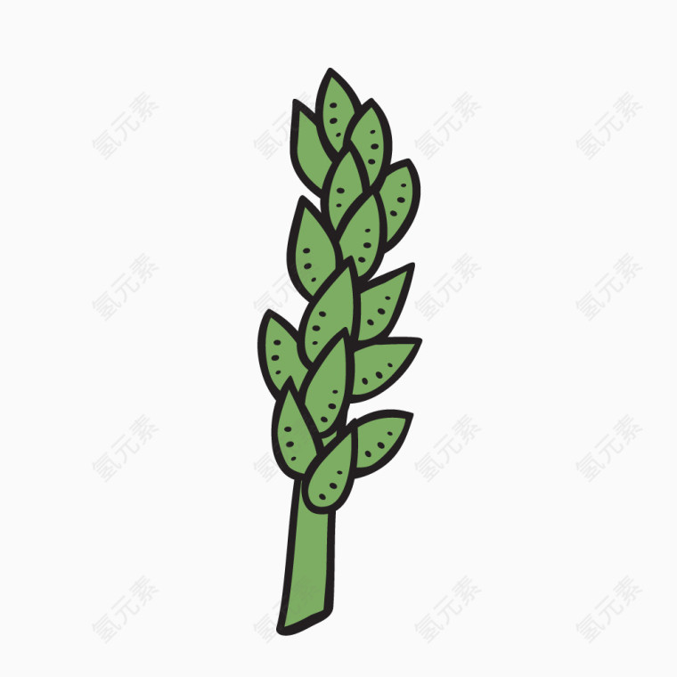 多肉植物花卉