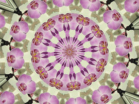 可爱彩色曼陀罗装饰图案