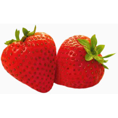 水果素描食物剪影