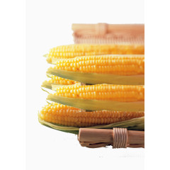 玉米穗玉米素材