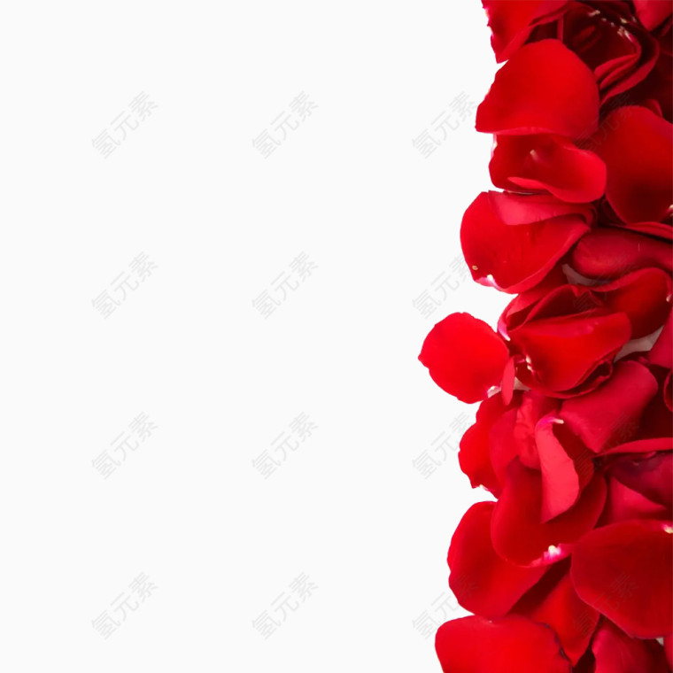 花瓣素材