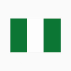 尼日利亚国旗图标