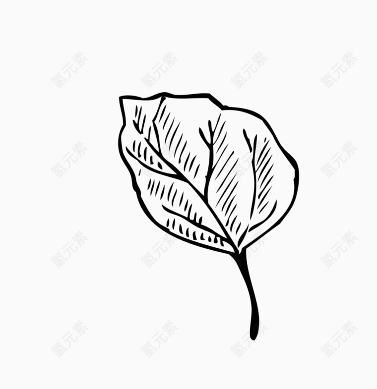 卡通手绘素描花朵花束鲜花